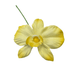 Yellow artificial orchid flower hair pick on a white background