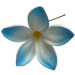 Plumeria Flower Hair Stick , 3"-Hair Claws & Clips-Leilanis Attic