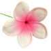 Plumeria Flower Hair Stick , 3.5" CraftsWay