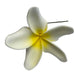 Plumeria Flower Hair Stick , 4"-Hair Claws & Clips-Leilanis Attic