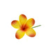 Plumeria Foam Flower Hair Stick DK Hawaiian Collection