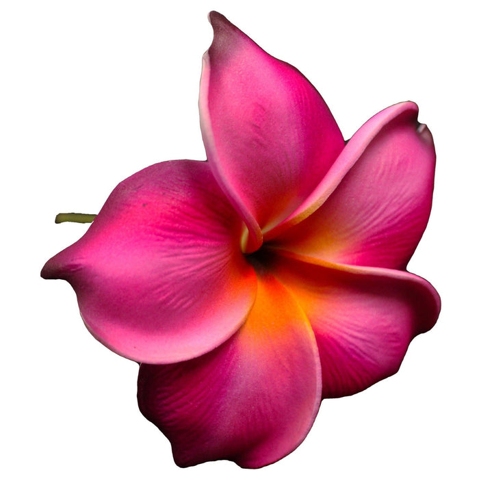 Plumeria Hair Stick, 3.5" - Hair Claws & Clips - Leilanis Attic
