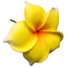 Plumeria Hair Stick, 3.5" - Hair Claws & Clips - Leilanis Attic