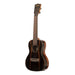Premier Exotic Ebony Concert Ukulele Kala