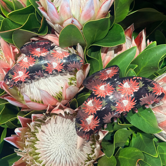 Protea Bombucha Phases Hawaii