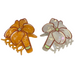 Puakenikeni Hair Claw Leilanis Attic