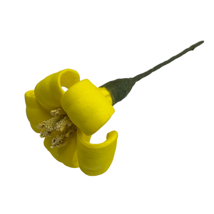 Yellow flower on a white surface