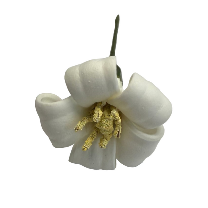 White puakenkeni flower hair pick