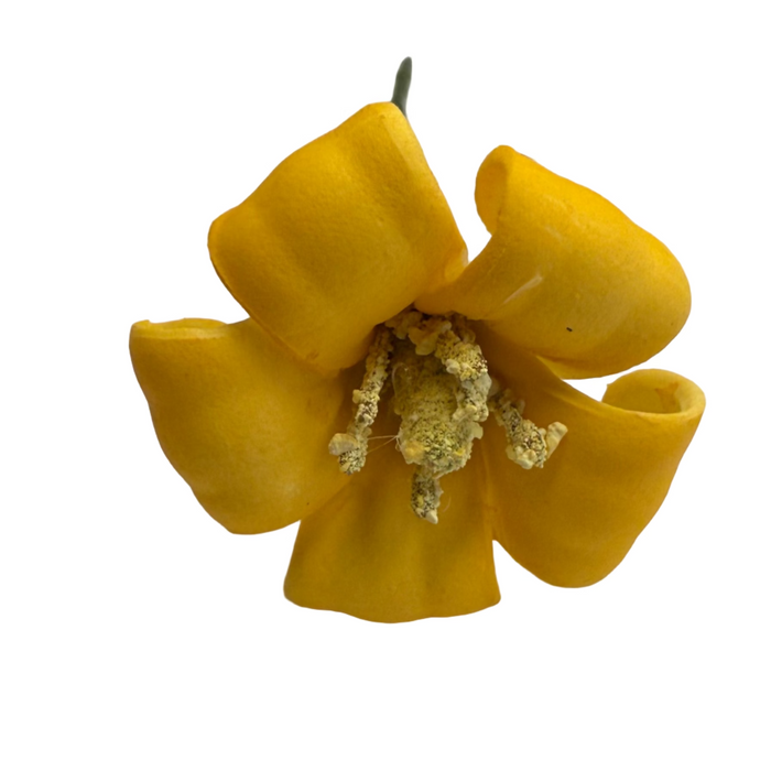 Puakenikeni Hair Stick - 1"-Hair Claws & Clips-Leilanis Attic