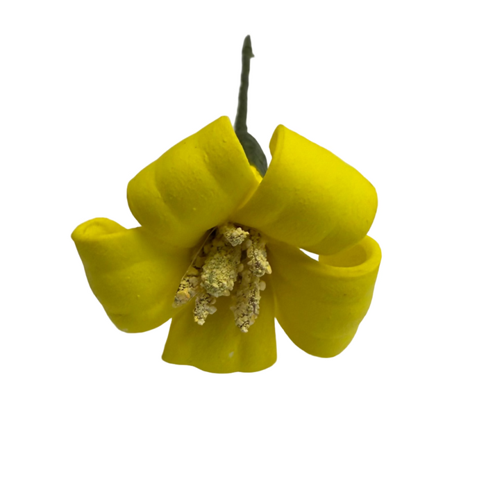 Yellow flower on a white surface with a laptop in the background