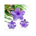 TRIO OF PLUMERIA FLOWER HAIR CLIPS DK Hawaiian Collection