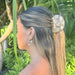Tiare Mahina Phases Hawaii