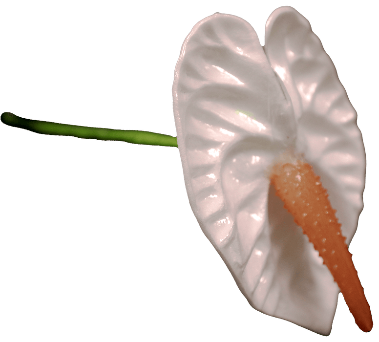 Anthurium Hair Stick, 1.5" - Hair Claws & Clips - Leilanis Attic