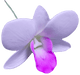 Dendrobium Orchid Hair Stick, 3" - Hair Claws & Clips - Leilanis Attic
