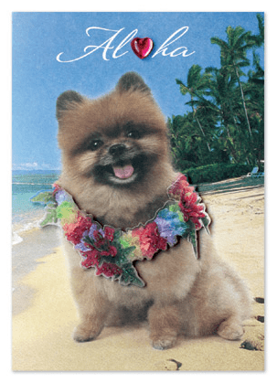 Greeting Card "Chewy Aloha" - Greeting Card - Leilanis Attic
