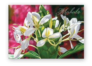 Greeting Card, "White Ginger Mahalo" - Greeting Card - Leilanis Attic