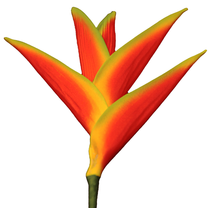 Heliconia Hair Stick, Large - Hair Claws & Clips - Leilanis Attic