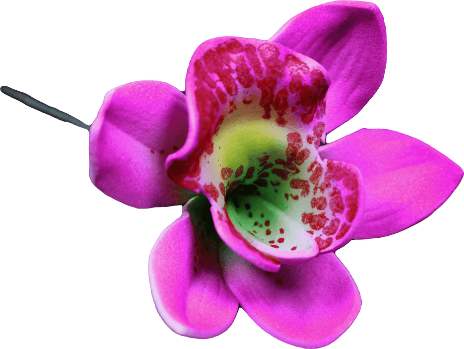 Spotted Cymbidium Orchid Hair Stick, 3" - Hair Claws & Clips - Leilanis Attic