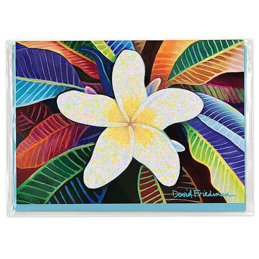 Madden Greeting Card Greeting Card, Blank "Plumeria Mandala"