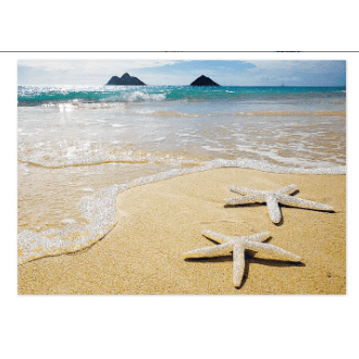 Madden Greeting Card Greeting Card, "Lanikai Starfish"