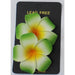 Plumeria Flower Hair Clips Various Colors - 2 Piece Set - Hair Accessories