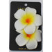 Plumeria Flower Hair Clips Various Colors - 2 Piece Set - Hair Accessories