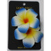 Plumeria Flower Hair Clips Various Colors - 2 Piece Set - Hair Accessories