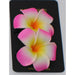 Plumeria Flower Hair Clips Various Colors - 2 Piece Set - Hair Accessories