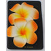 Plumeria Flower Hair Clips Various Colors - 2 Piece Set - Hair Accessories