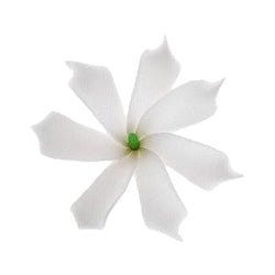DK Hawaiian Collection Accessories White Solid Color Tiare Hair Clips