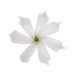 DK Hawaiian Collection Accessories White Solid Color Tiare Hair Clips