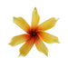 DK Hawaiian Collection Accessories Yellow Solid Color Tiare Hair Clips