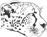 Laser Engraved Cheetah Head Flask - Flask - Leilanis Attic