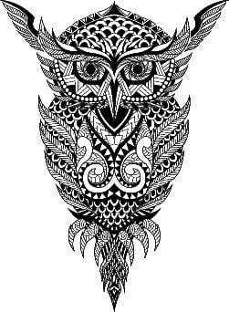 Laser Engraved Owl Flask - Flask - Leilanis Attic